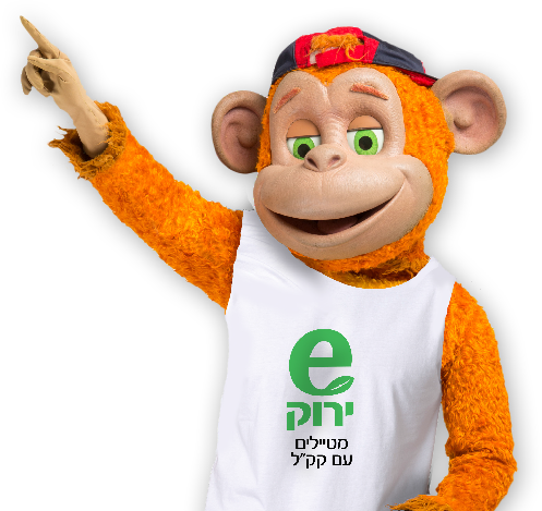 תמונה של קופיקו