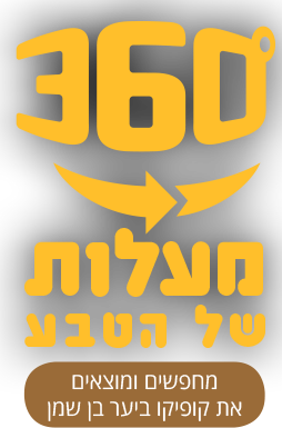 לוגו 360 מעלות של הטבע מחפשים ומוצאים את הקופיקו ביער בן שמן